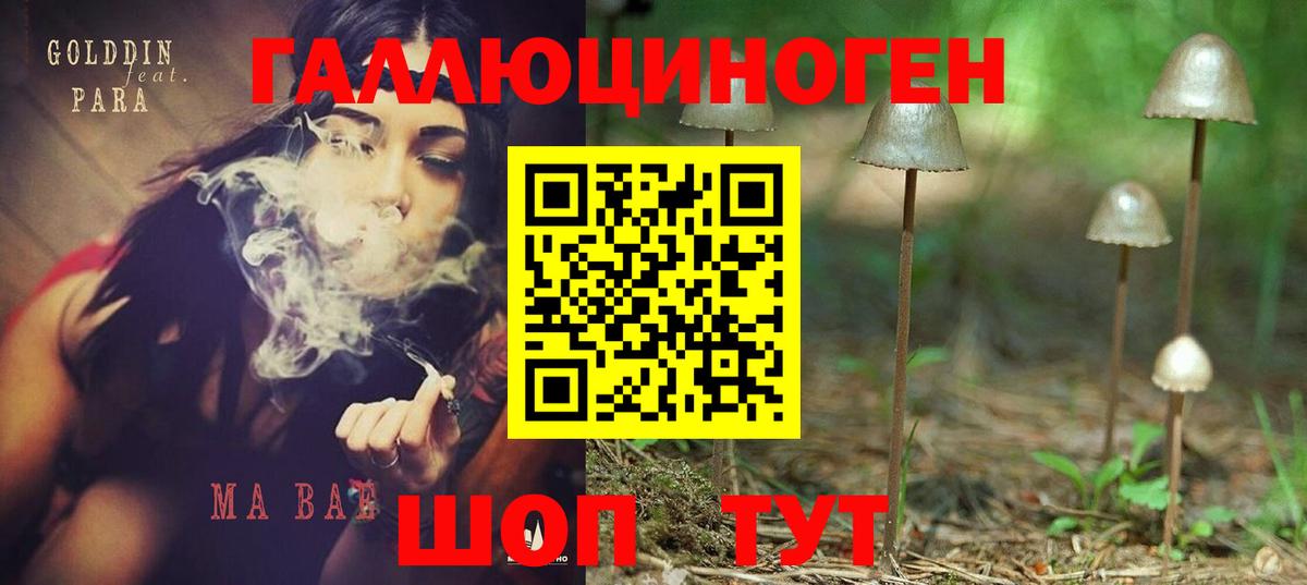 Псилоцибиновые грибы MAGIC MUSHROOMS  Псилоцибиновые грибы Magic Shrooms  купить наркотики сайты  Вход с VPN  Севастополь 